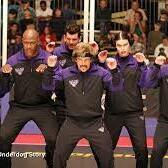 The Globo Gym Purple Cobras